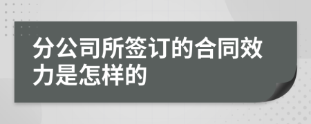 分公司所签订的合同效力是怎样的