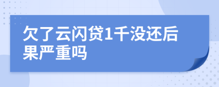 欠了云闪贷1千没还后果严重吗