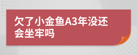 欠了小金鱼A3年没还会坐牢吗