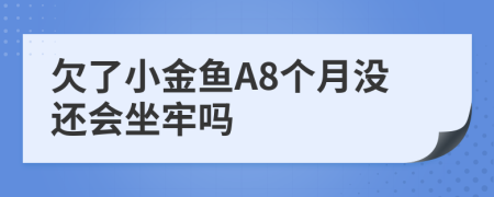 欠了小金鱼A8个月没还会坐牢吗
