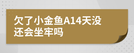 欠了小金鱼A14天没还会坐牢吗