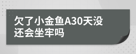 欠了小金鱼A30天没还会坐牢吗