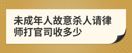 未成年人故意杀人请律师打官司收多少