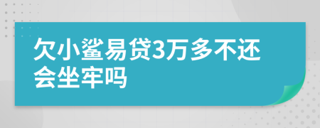 欠小鲨易贷3万多不还会坐牢吗