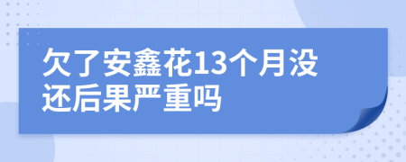 欠了安鑫花13个月没还后果严重吗