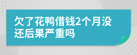 欠了花鸭借钱2个月没还后果严重吗