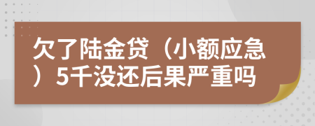 欠了陆金贷（小额应急）5千没还后果严重吗