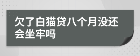 欠了白猫贷八个月没还会坐牢吗