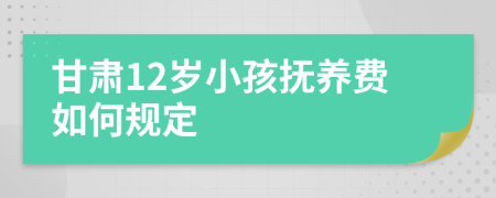 甘肃12岁小孩抚养费如何规定