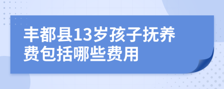 丰都县13岁孩子抚养费包括哪些费用