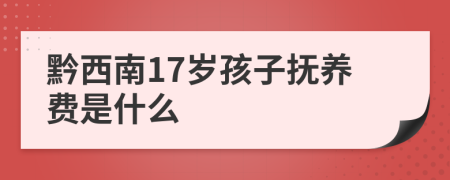 黔西南17岁孩子抚养费是什么