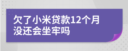 欠了小米贷款12个月没还会坐牢吗
