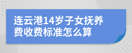 连云港14岁子女抚养费收费标准怎么算
