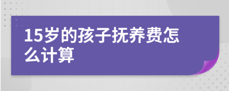 15岁的孩子抚养费怎么计算