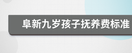 阜新九岁孩子抚养费标准