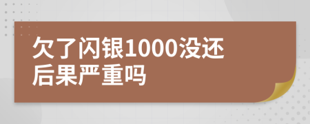 欠了闪银1000没还后果严重吗