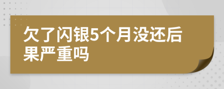 欠了闪银5个月没还后果严重吗