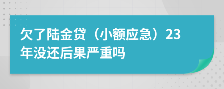 欠了陆金贷（小额应急）23年没还后果严重吗
