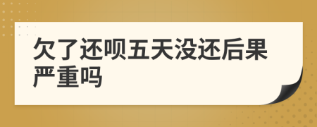 欠了还呗五天没还后果严重吗