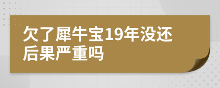 欠了犀牛宝19年没还后果严重吗