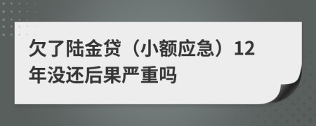 欠了陆金贷（小额应急）12年没还后果严重吗