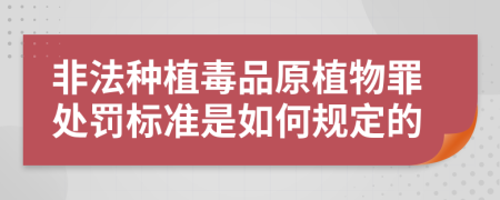 非法种植毒品原植物罪处罚标准是如何规定的