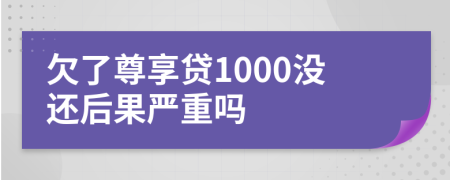 欠了尊享贷1000没还后果严重吗