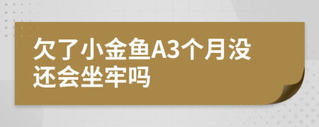 欠了小金鱼A3个月没还会坐牢吗
