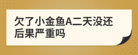 欠了小金鱼A二天没还后果严重吗
