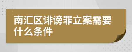 南汇区诽谤罪立案需要什么条件