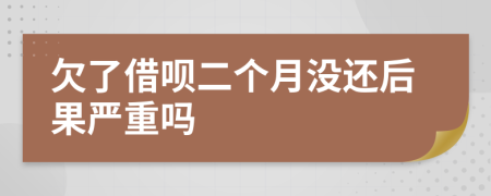 欠了借呗二个月没还后果严重吗