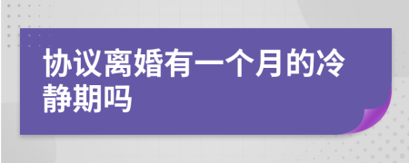 协议离婚有一个月的冷静期吗