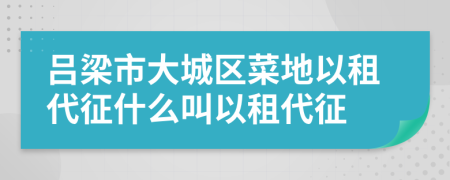 吕梁市大城区菜地以租代征什么叫以租代征