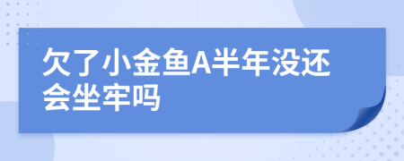 欠了小金鱼A半年没还会坐牢吗