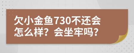 欠小金鱼730不还会怎么样？会坐牢吗？