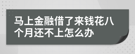 马上金融借了来钱花八个月还不上怎么办