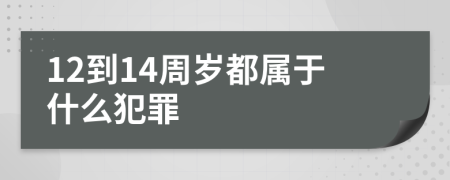 12到14周岁都属于什么犯罪