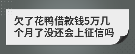 欠了花鸭借款钱5万几个月了没还会上征信吗