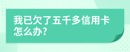我已欠了五千多信用卡怎么办?