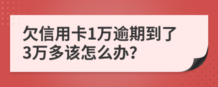 欠信用卡1万逾期到了3万多该怎么办？