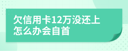 欠信用卡12万没还上怎么办会自首