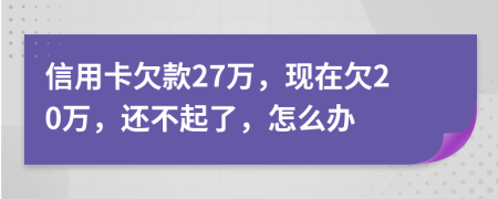 信用卡欠款27万，现在欠20万，还不起了，怎么办