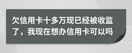 欠信用卡十多万现已经被收监了，我现在想办信用卡可以吗