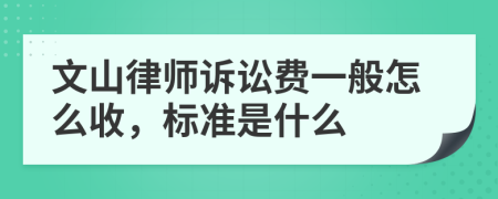 文山律师诉讼费一般怎么收，标准是什么