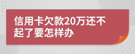 信用卡欠款20万还不起了要怎样办