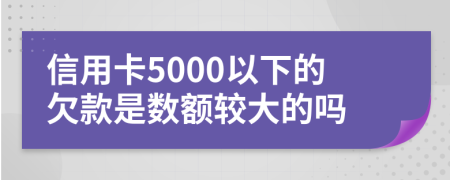 信用卡5000以下的欠款是数额较大的吗