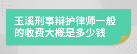 玉溪刑事辩护律师一般的收费大概是多少钱