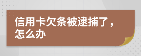 信用卡欠条被逮捕了，怎么办