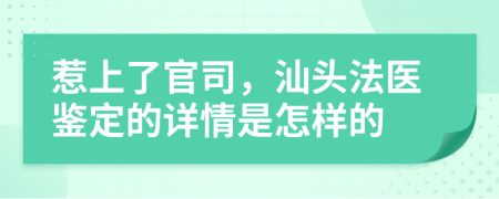 惹上了官司，汕头法医鉴定的详情是怎样的