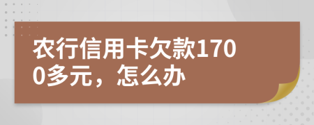 农行信用卡欠款1700多元，怎么办